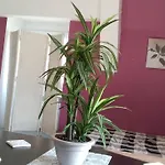 Nowoczesne Mieszkanie Blisko Natury I Sklepu Biedronka Apartmán *