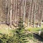 Nowoczesne Mieszkanie Blisko Natury I Sklepu Biedronka Apartmán *