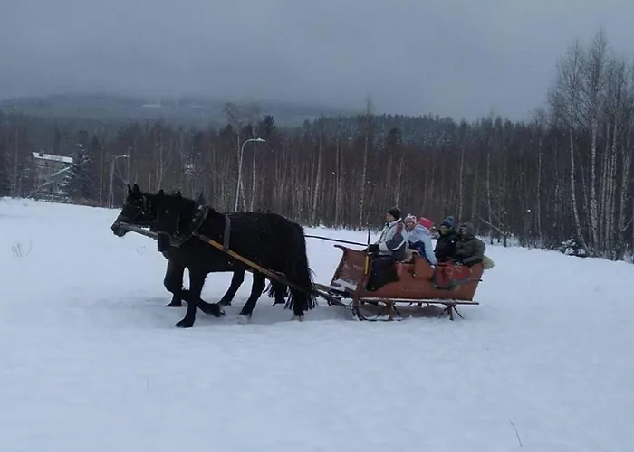 Nowoczesne Mieszkanie Blisko Natury I Sklepu Biedronka * Karpacz
