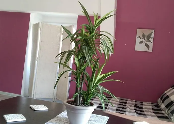 Nowoczesne Mieszkanie Blisko Natury I Sklepu Biedronka 아파트 *