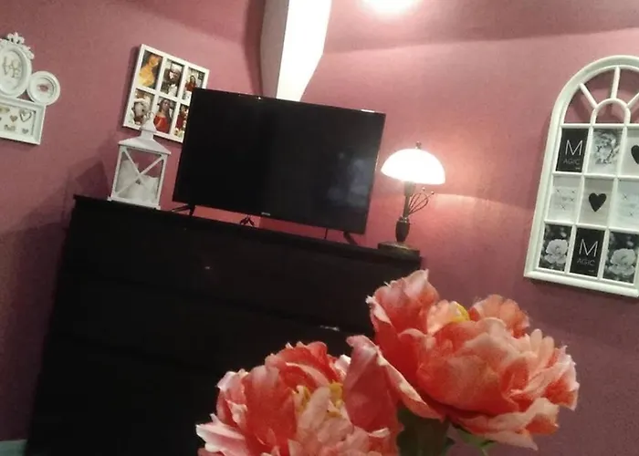 Appartement Nowoczesne Mieszkanie Blisko Natury I Sklepu Biedronka *