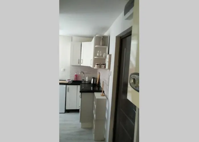 Nowoczesne Mieszkanie Blisko Natury I Sklepu Biedronka 아파트 카르파츠