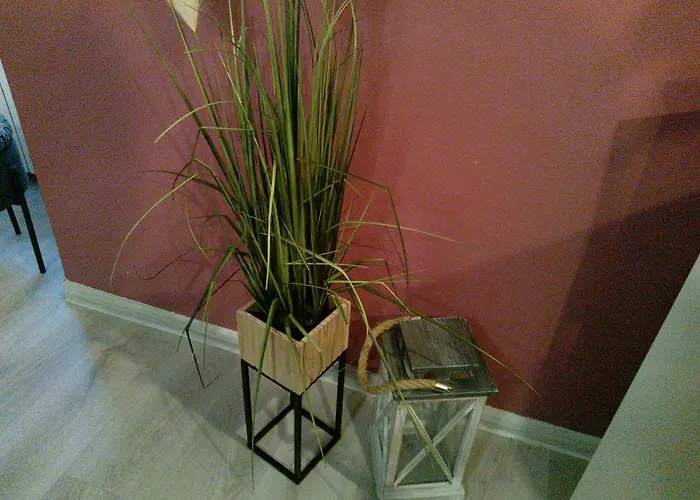 Appartement Nowoczesne Mieszkanie Blisko Natury I Sklepu Biedronka