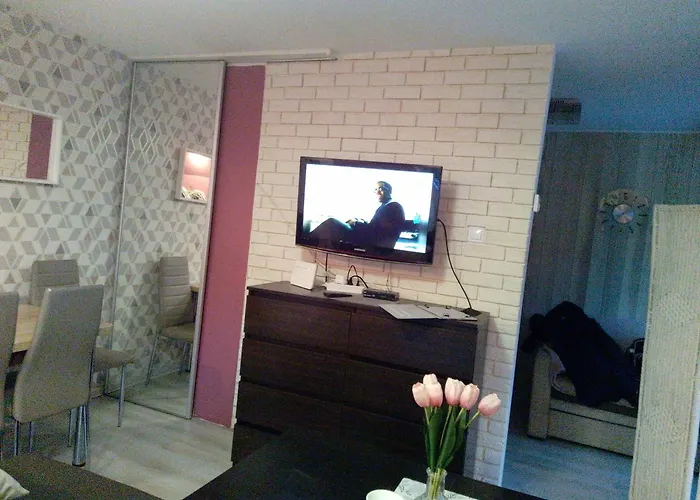 Nowoczesne Mieszkanie Blisko Natury I Sklepu Biedronka 아파트 카르파츠